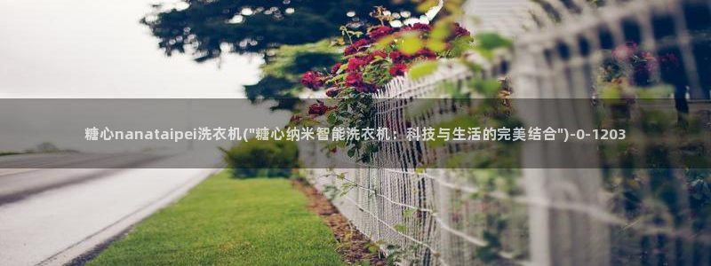 心糖vlo：糖心nanataipei洗衣机(\