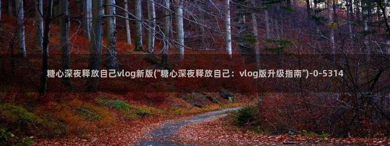 糖心vipg：糖心深夜释放自己vlog新版(\