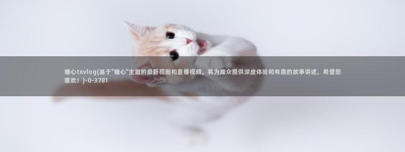 糖心vlgo安装包