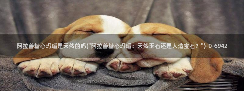 糖心网站