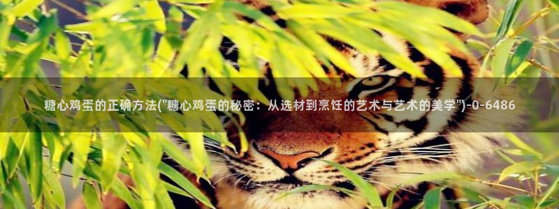 糖心免费.